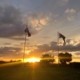 Battlefield Flags at Sunset