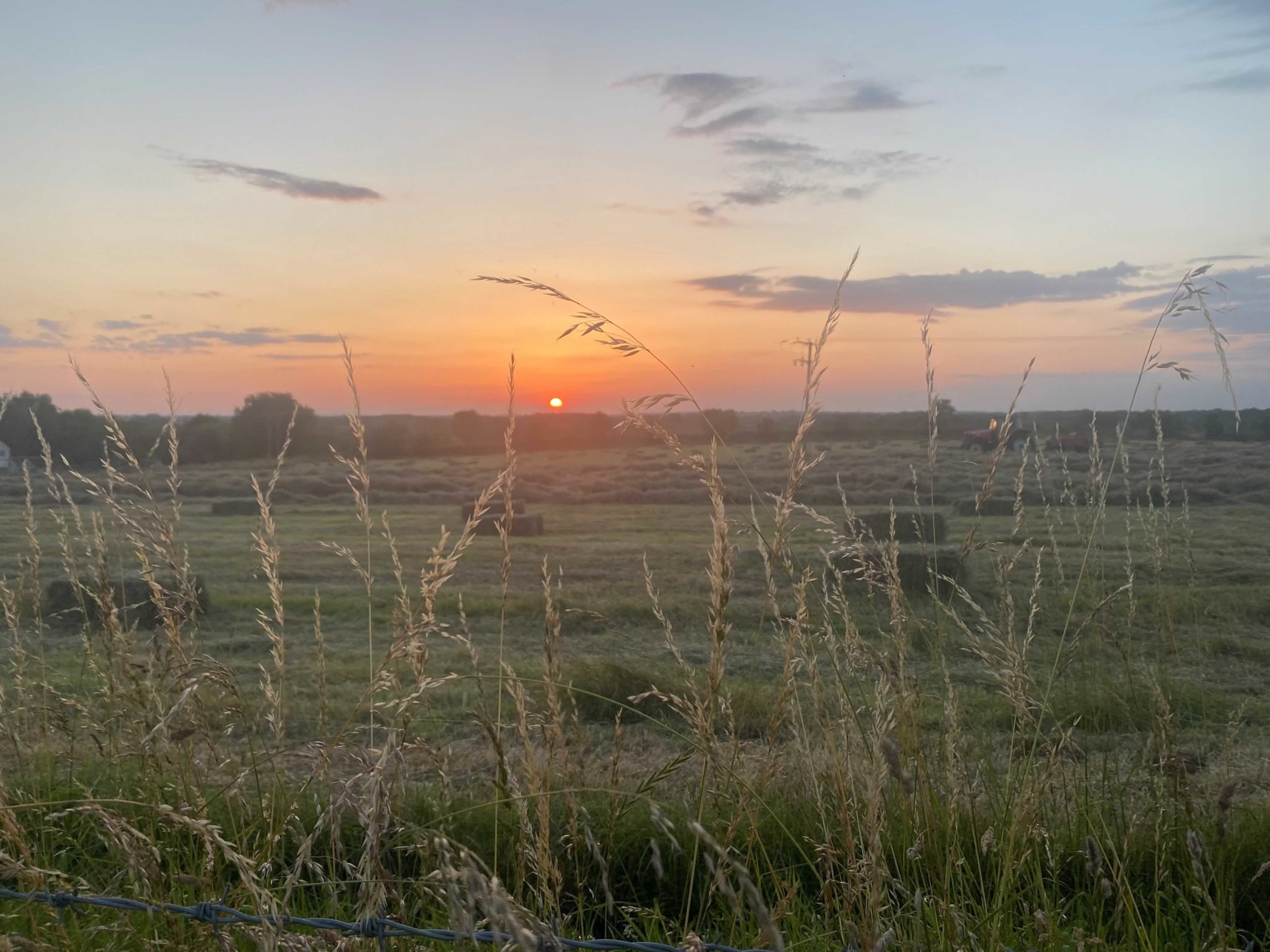 Making hay whilst the sun shines … - a blog post from Hall Farm Dadlington