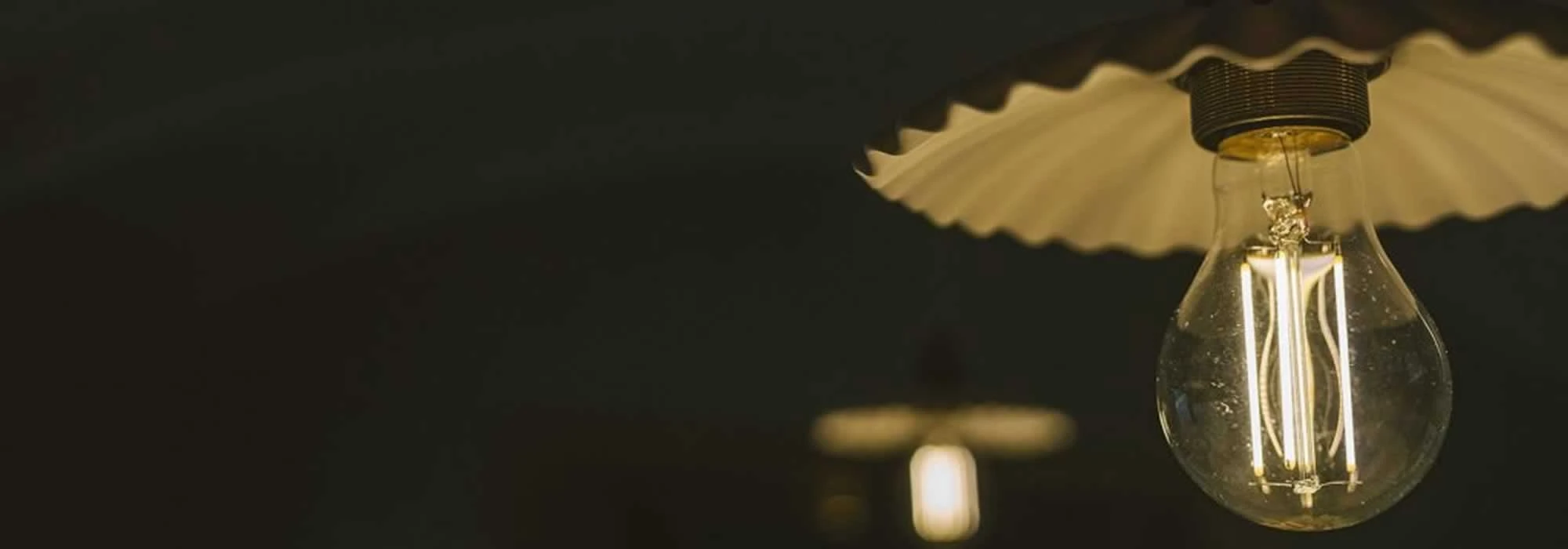 The Shepherd's Watch at Hall Farm, Dadlington