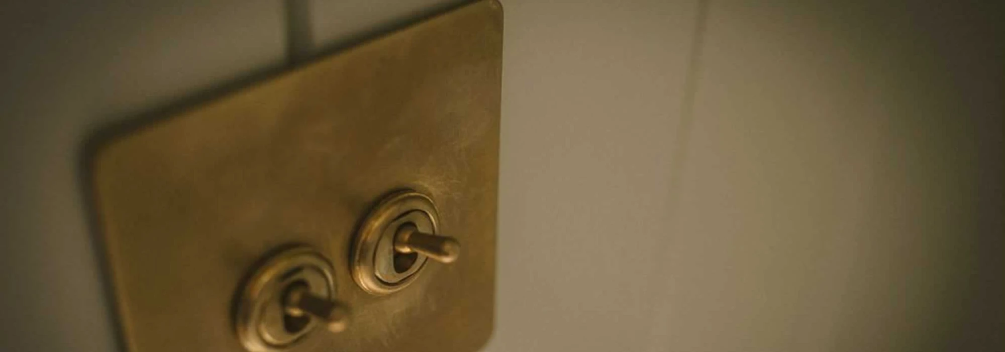 The Shepherd's Watch at Hall Farm, Dadlington